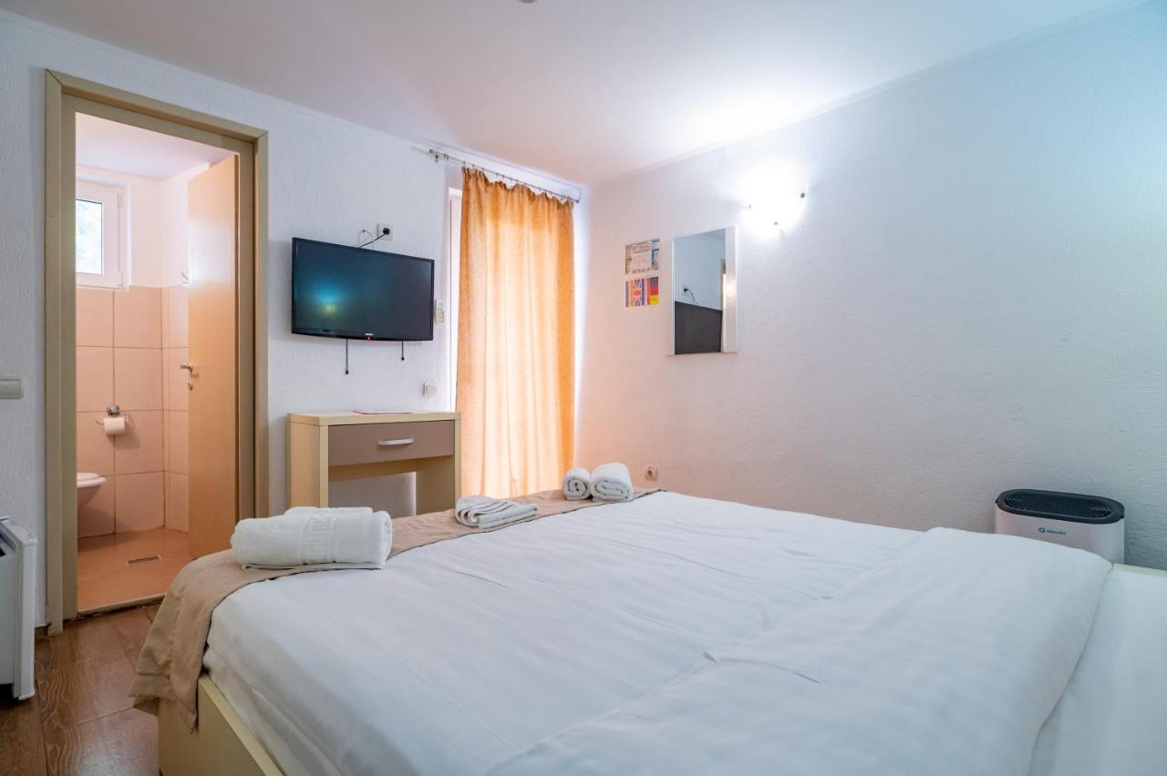 Complex Paloma Coral 3*