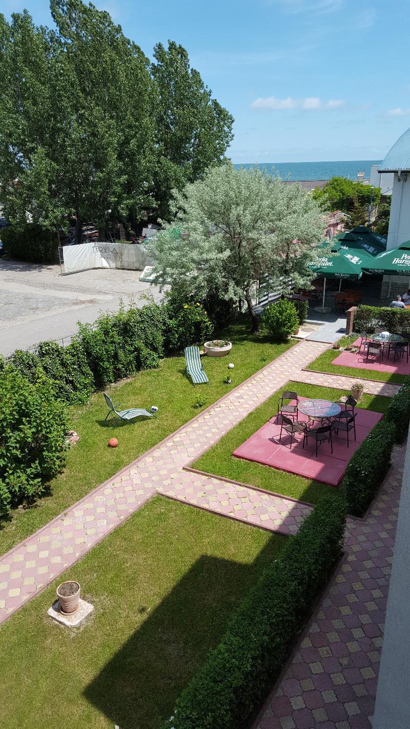 Complex Paloma Coral Mamaia